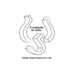 logos para site-21