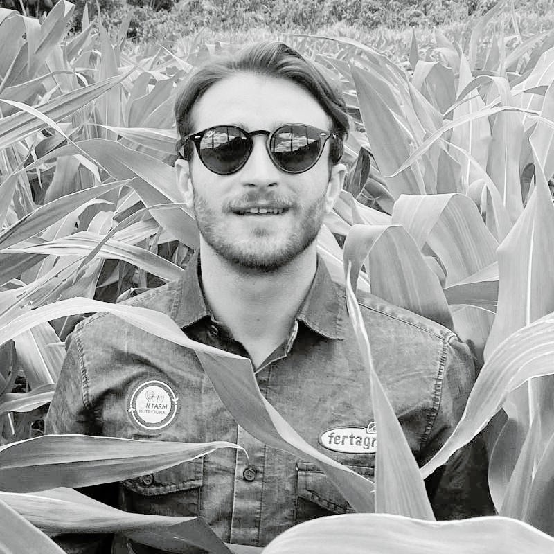 Felipe